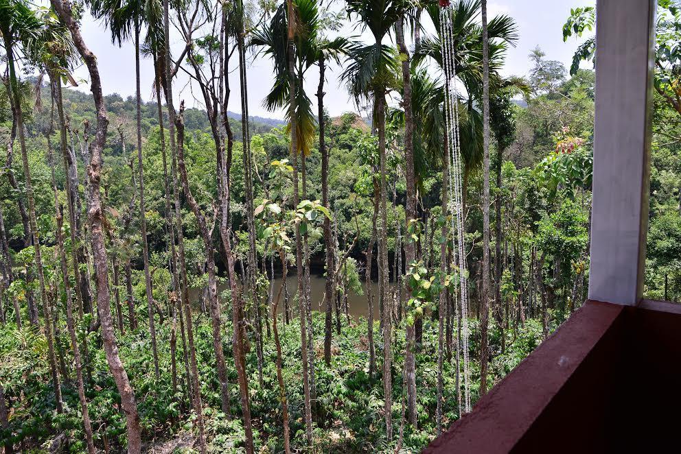 River Near Coorg Jambur Exteriör bild