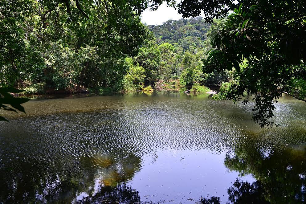River Near Coorg Jambur Exteriör bild